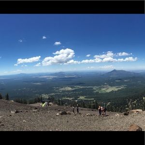 Meet your Posher, Daisy